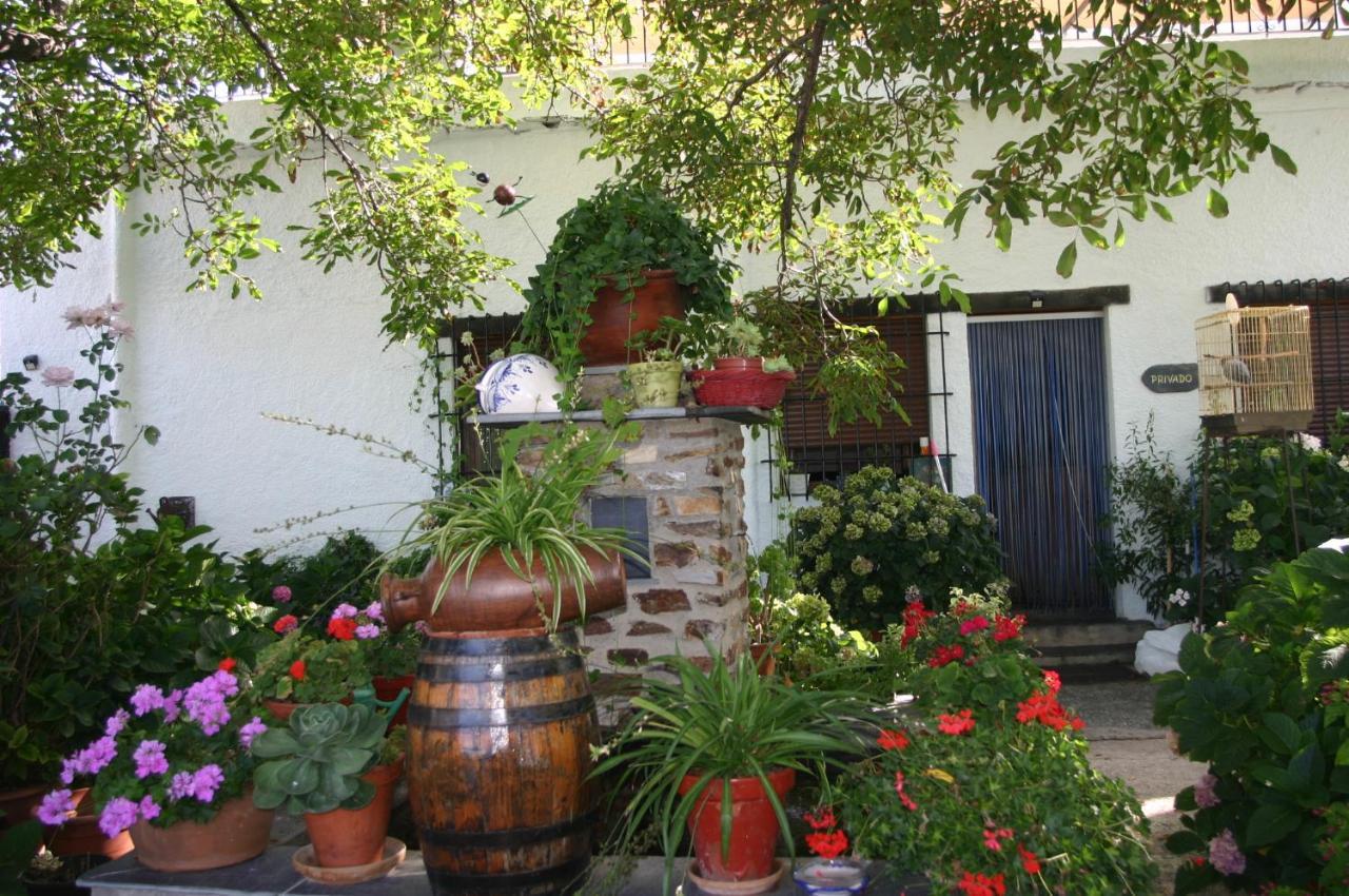 Apartamentos Y Casas Rurales Las Terrazas De La Alpujarra Bubión المظهر الخارجي الصورة